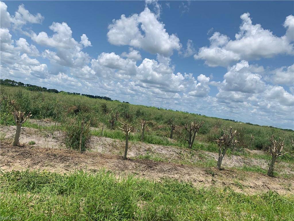 Labelle, FL 33935,6001 6th RD