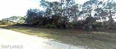 Labelle, FL 33935,770 Shark LN