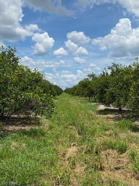 Labelle, FL 33935,Lot 5 7th RD