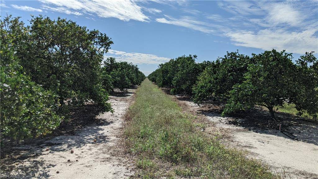 Labelle, FL 33935,Lots 10-11 7th RD