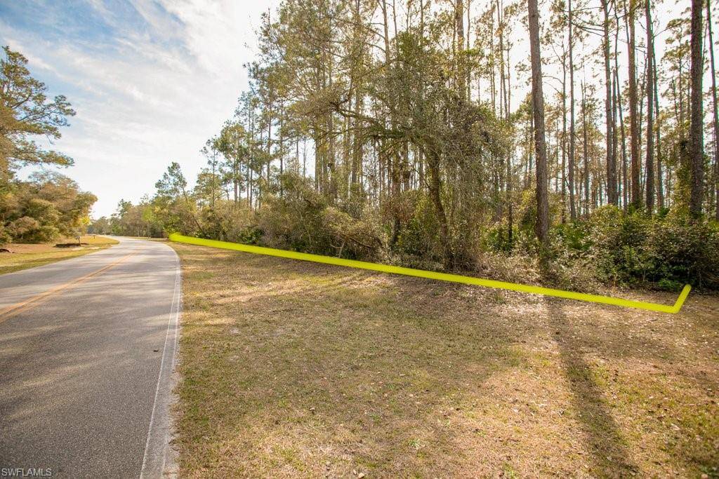 Georgetown, FL 32139,403 Plantation Pines DR