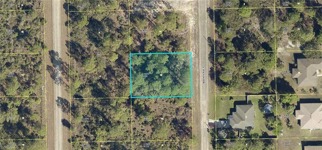 Lehigh Acres, FL 33974,236 Napper AVE S