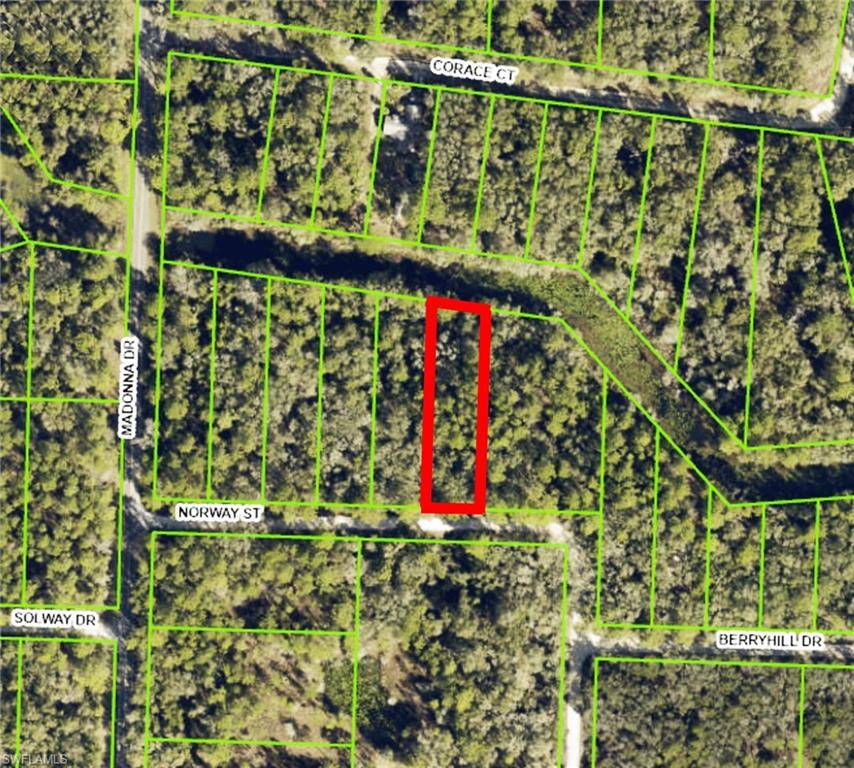 Webster, FL 33597,7200 Norway ST