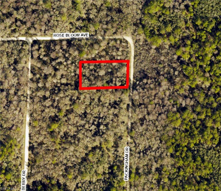 Webster, FL 33597,8009 Packingham ST