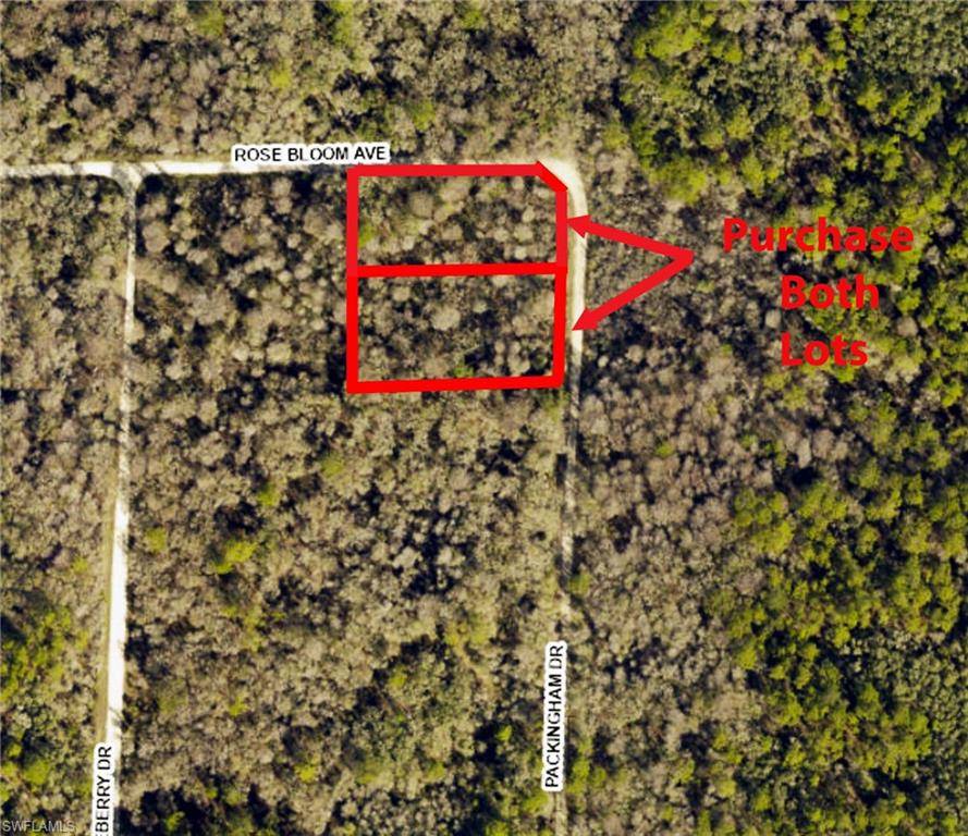 Webster, FL 33597,33464 Packingham DR