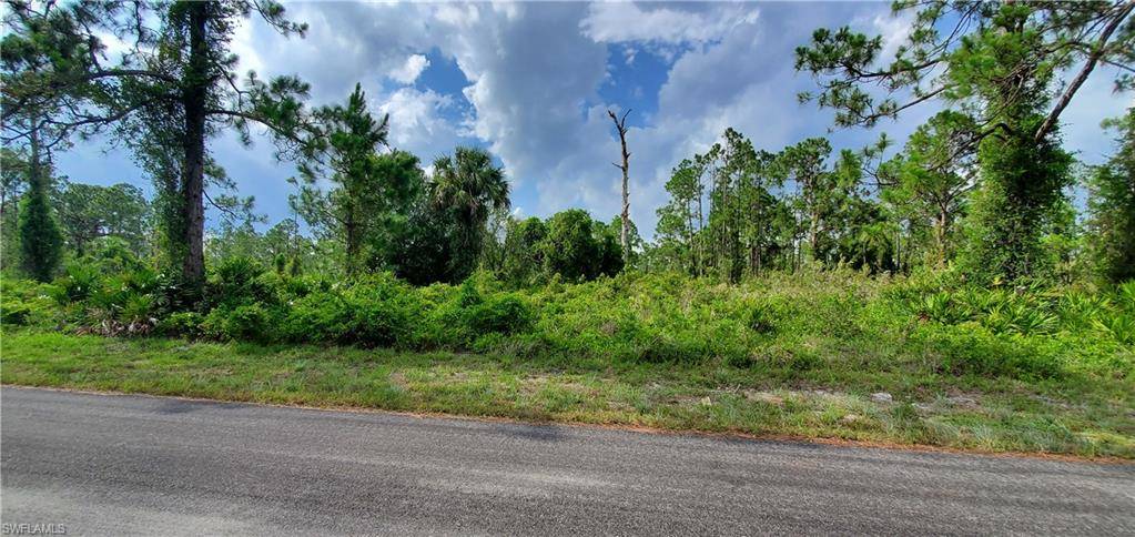 Lehigh Acres, FL 33974,1065 Manning ST E