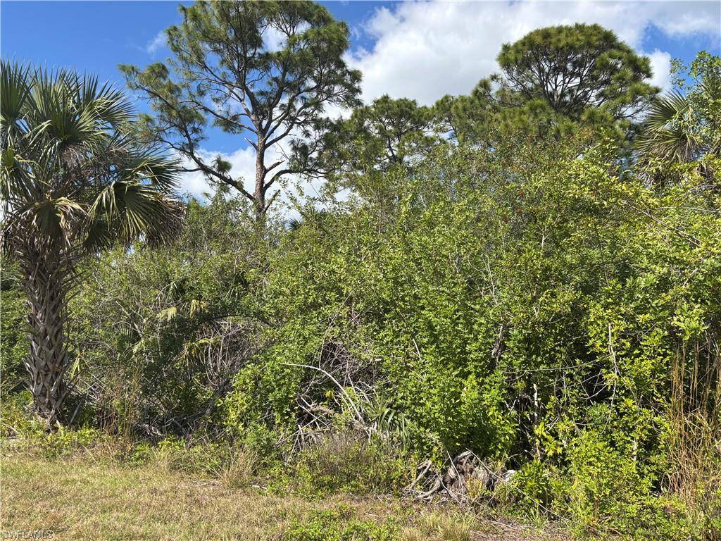 Naples, FL 34117,41617360008 36TH AVE SE