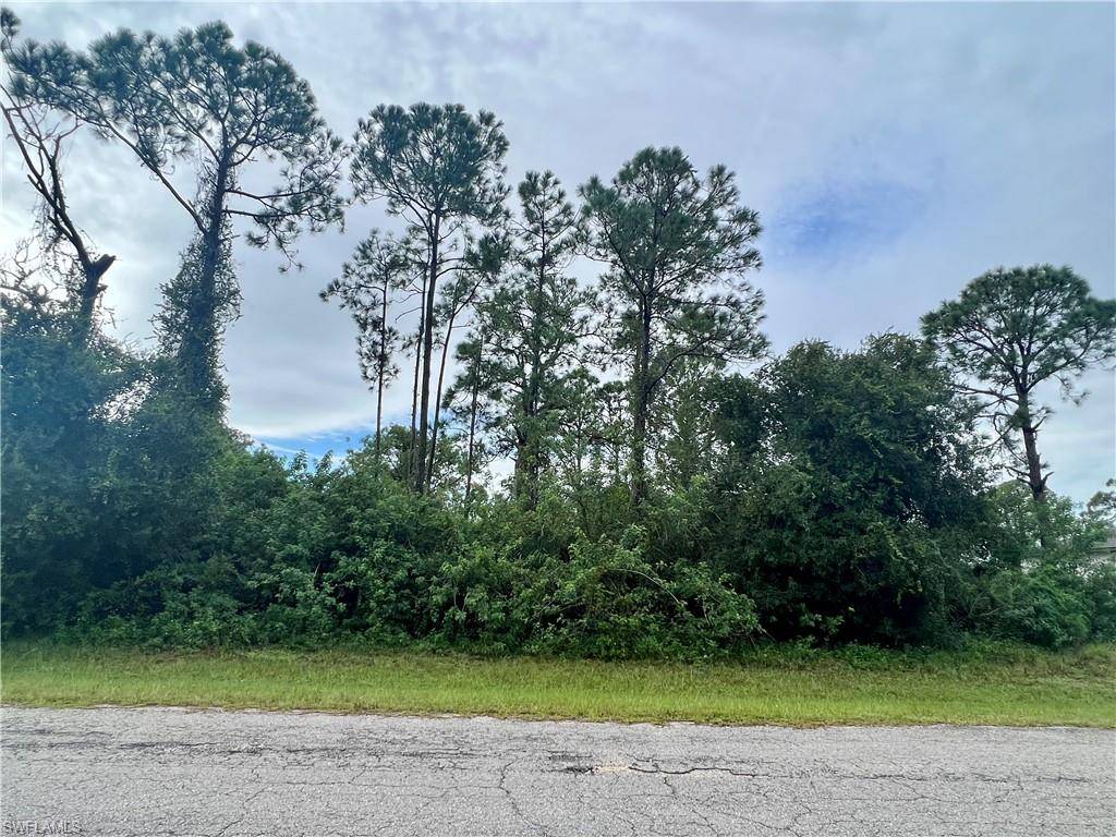 Labelle, FL 33935,6006 Petal CT