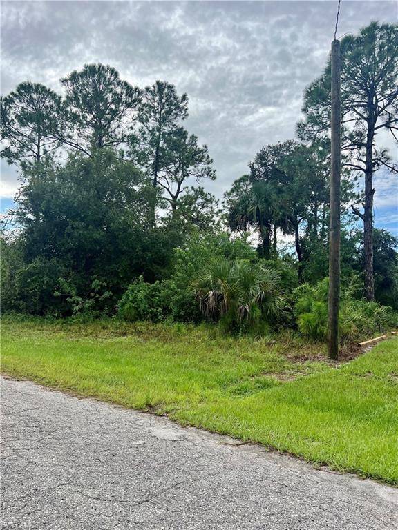 Labelle, FL 33935,6006 Petal CT