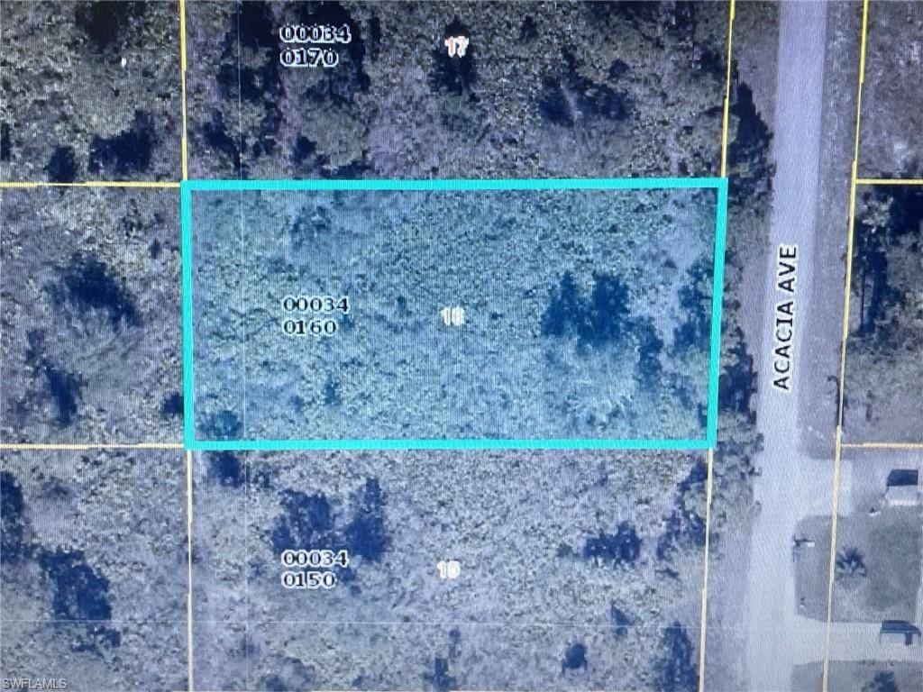 Lehigh Acres, FL 33972,1407 Acacia AVE