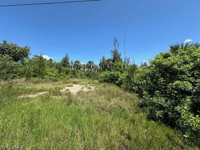 St. James City, FL 33956,3518 Papaya ST