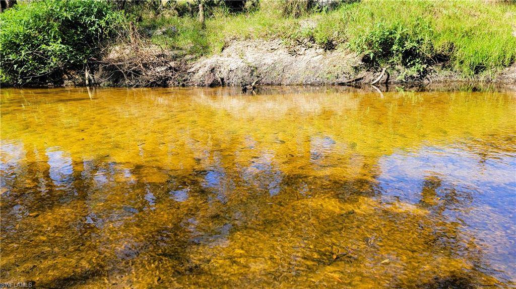 Arcadia, FL 34266,Address not disclosed