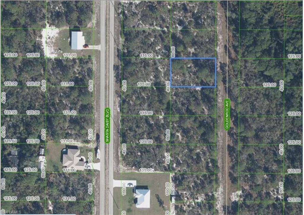 Sebring, FL 33875,7009 Goldenrod AVE