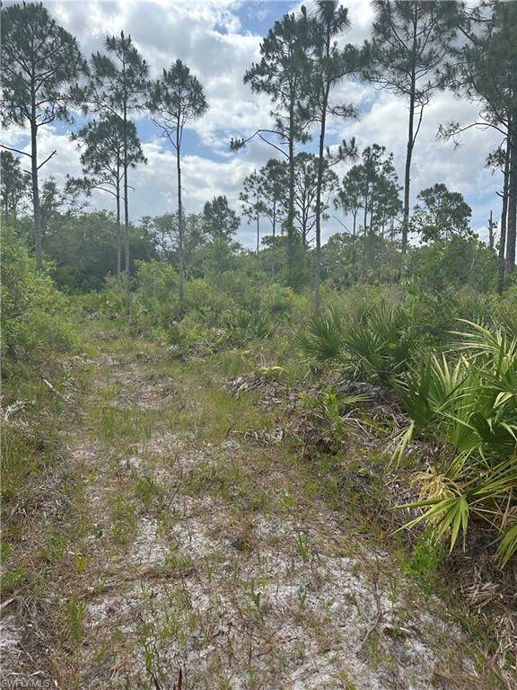 Labelle, FL 33935,5833 Stewart LN