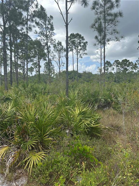 Labelle, FL 33935,5833 Stewart LN