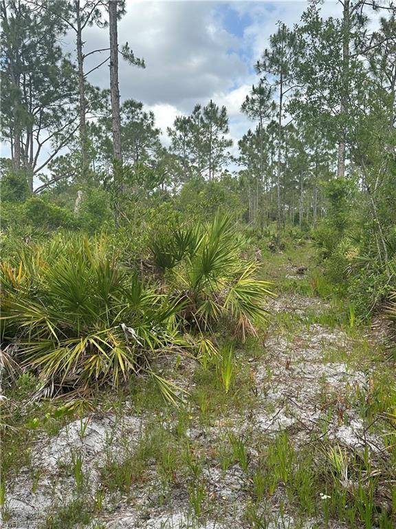 Labelle, FL 33935,5833 Stewart LN