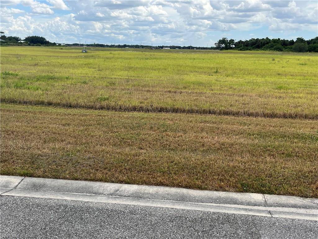 Alva, FL 33920,22776 Yellow Button LN