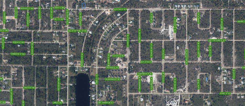 Lake Placid, FL 33852,116 Aleutian ST NE