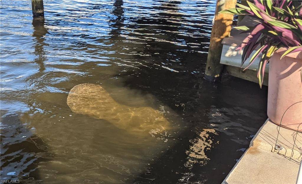 Fort Myers Beach, FL 33931,36 Emily LN