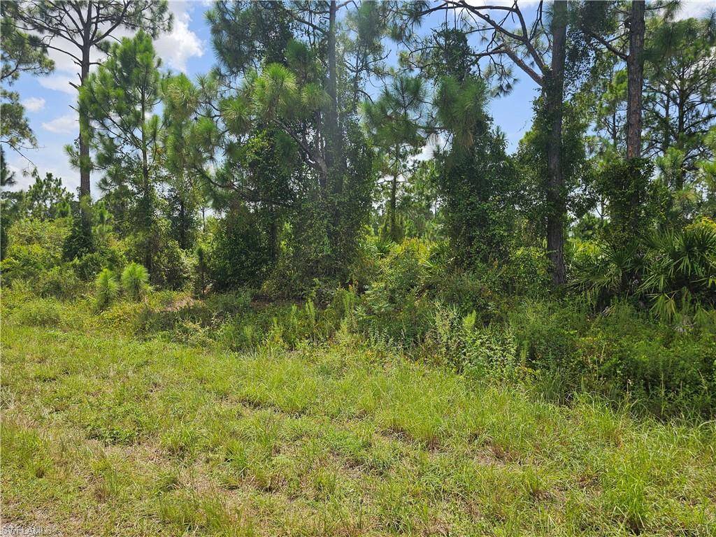 Lehigh Acres, FL 33974,760 Oro AVE S