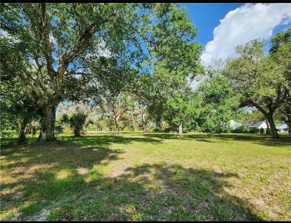 Labelle, FL 33935,648 turtle LN