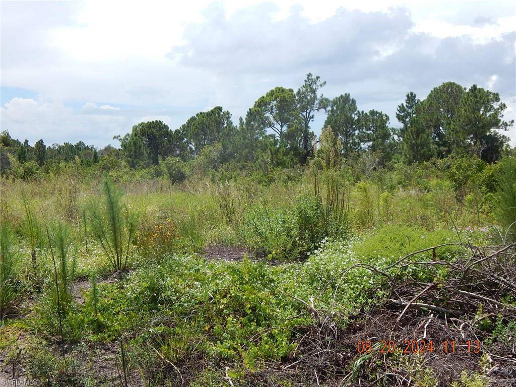 Lehigh Acres, FL 33974,958 Commodore ST