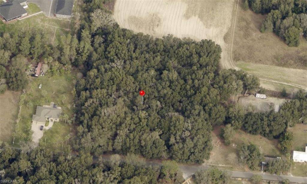 Seffner, FL 33584,Bessie Dix RD