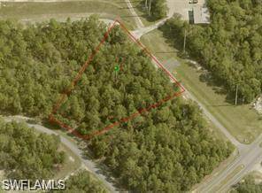 Dunnellon, FL 34434,1571 W Thumper DR