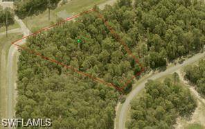 Dunnellon, FL 34434,1571 W Thumper DR