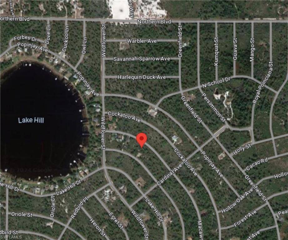 Lake Placid, FL 33852,1214 Macaw AVE