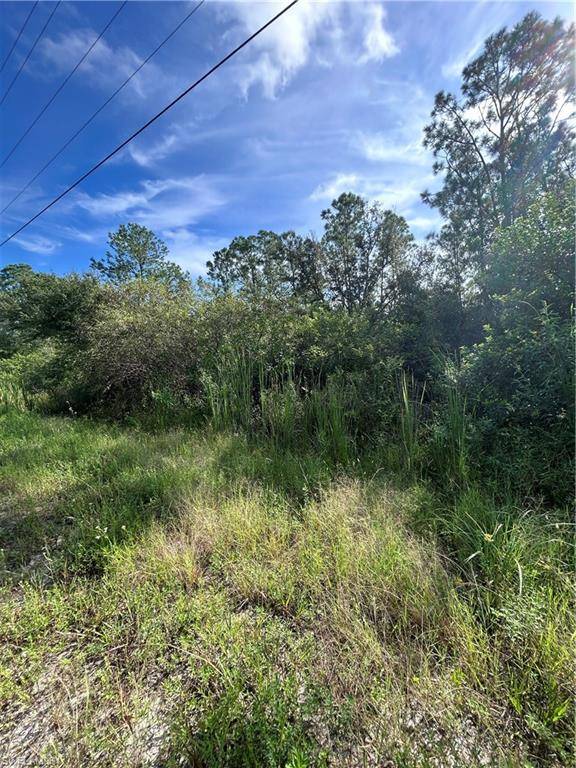 Labelle, FL 33935,3370 Fernwood LN