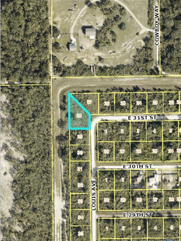 Alva, FL 33920,3005 Louis AVE