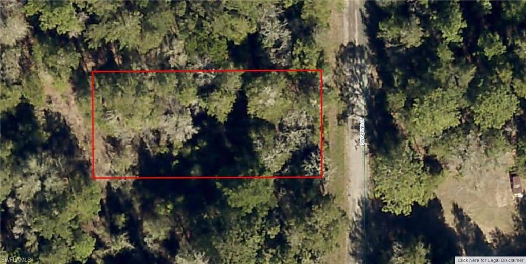 Dunnellon, FL 34431,1808-004-010 SW Gering CT