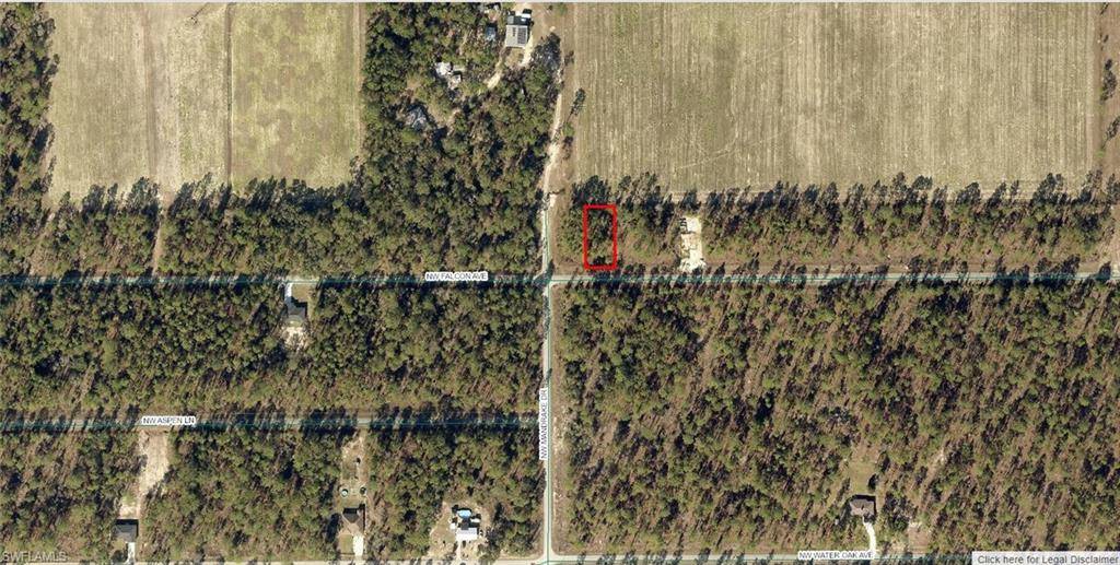 Dunnellon, FL 34431,1808-004-010 SW Gering CT