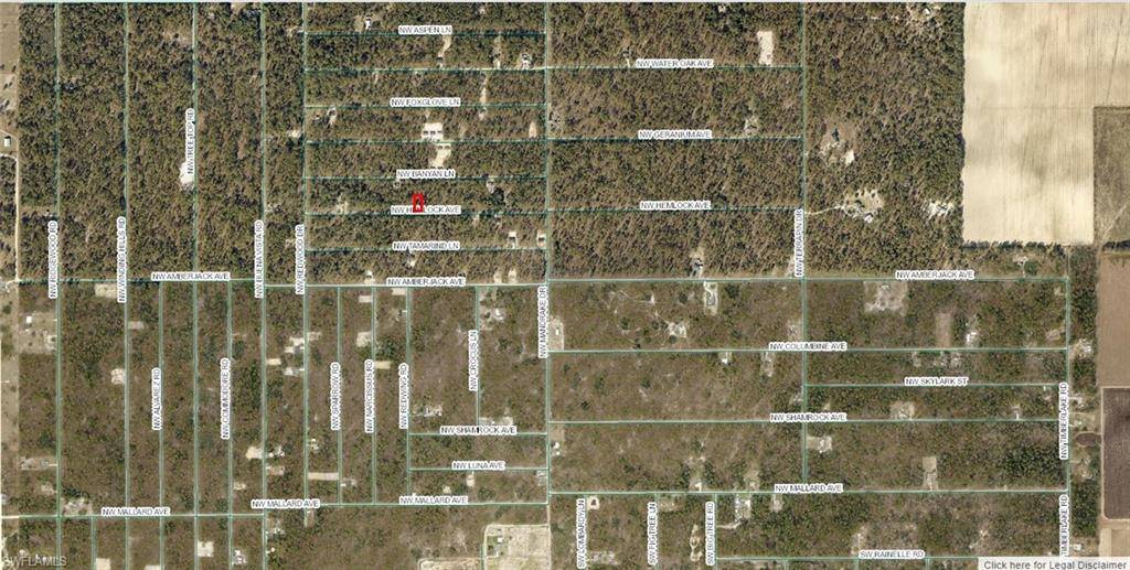 Dunnellon, FL 34431,1814-017-051 NW Hemlock AVE