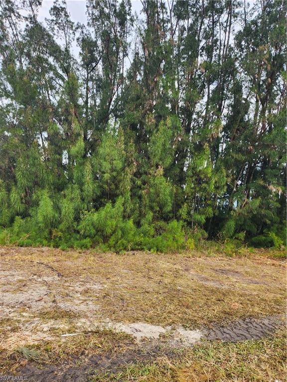 Lehigh Acres, FL 33972,338 Tyrone AVE