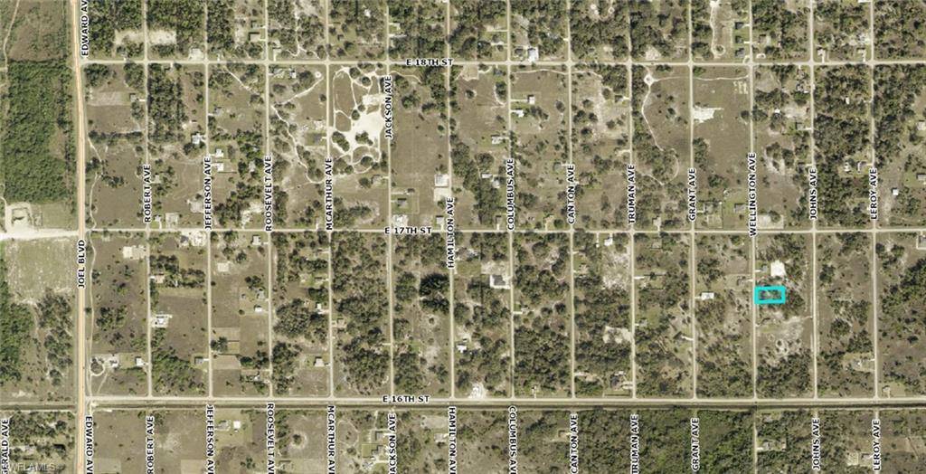 Lehigh Acres, FL 33972,1614 Wellington AVE