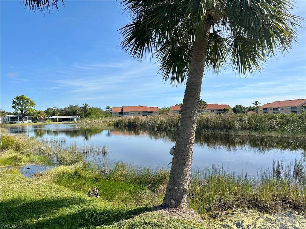 Bonita Springs, FL 34135,26338 Peer LN