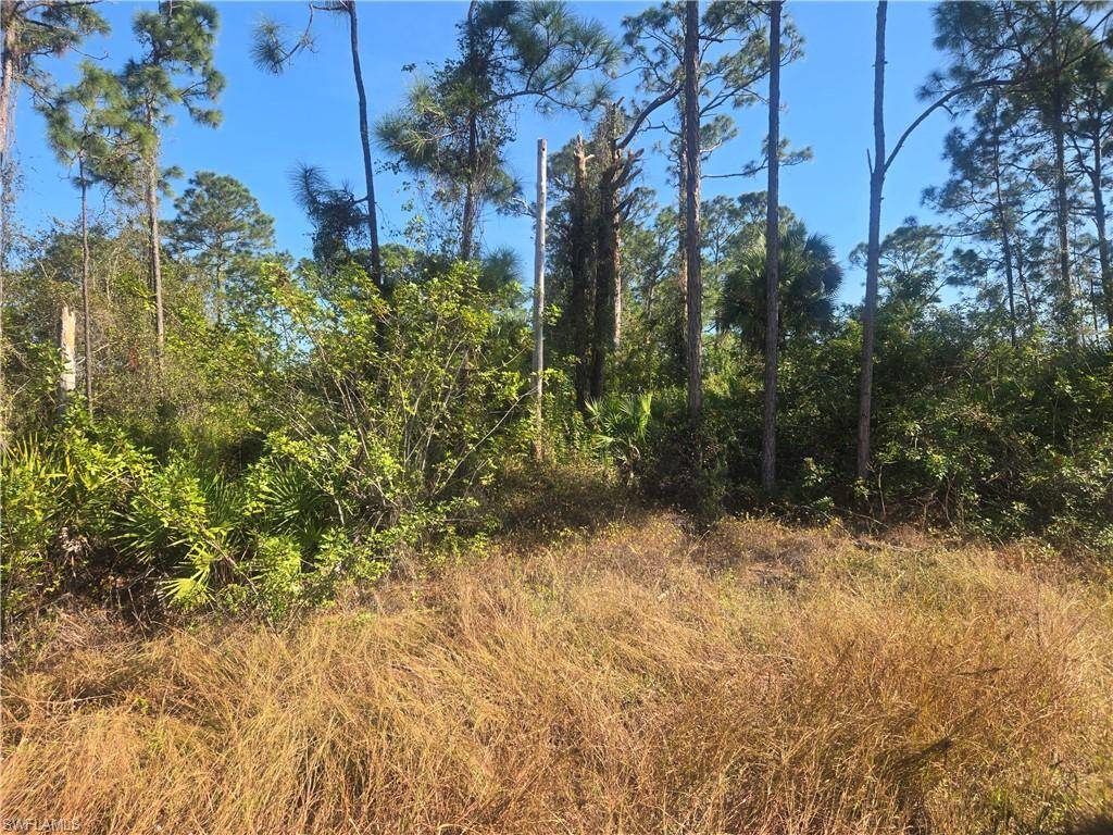 Lehigh Acres, FL 33974,711 Giorgio AVE S