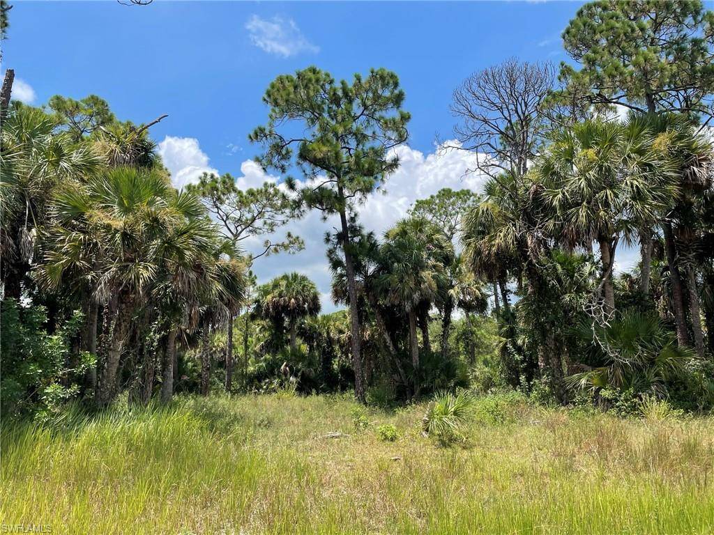 Labelle, FL 33935,408 Valleybrook DR