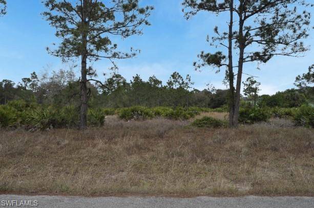 Lehigh Acres, FL 33972,1708 Plumosa AVE