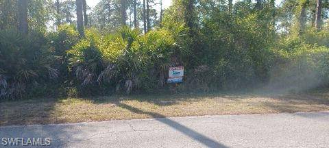 Alva, FL 33920,2017 Columbus AVE