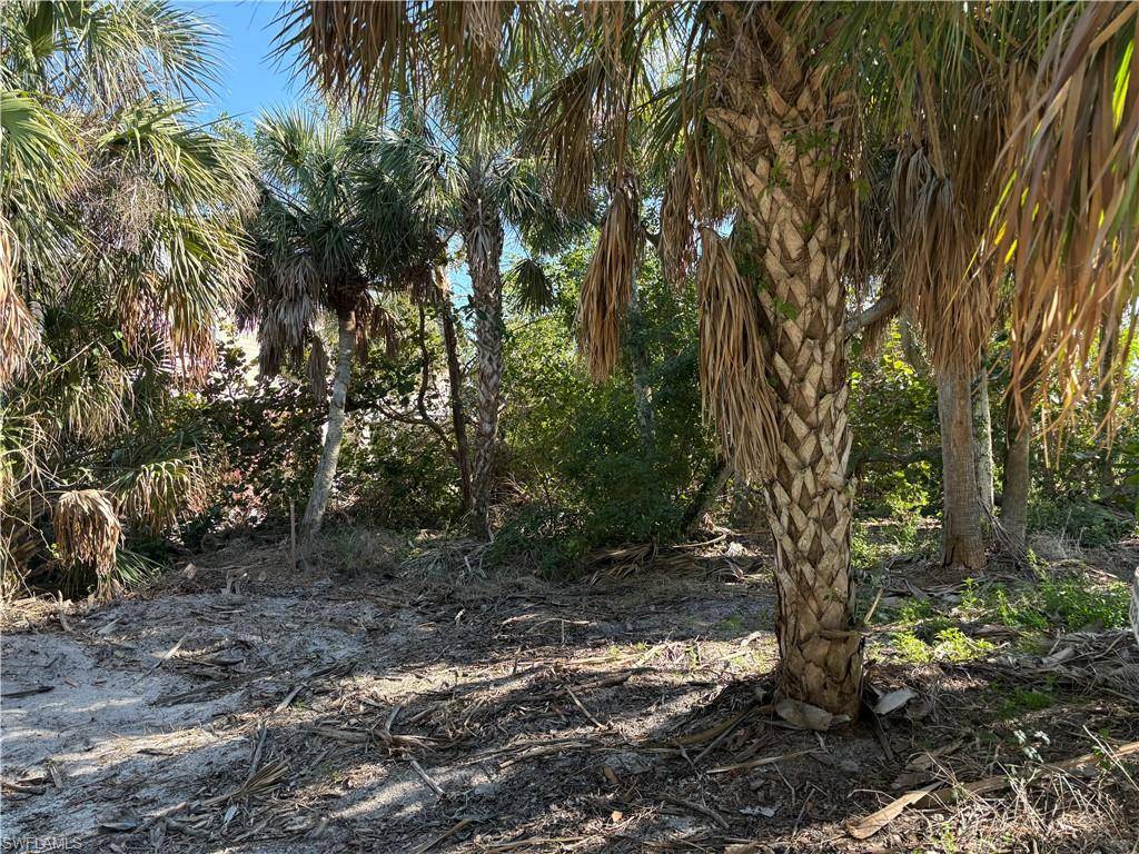 Upper Captiva, FL 33924,4491 Butterfly Shell DR