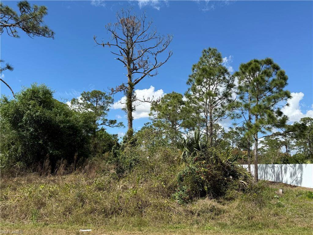 Lehigh Acres, FL 33972,1009 Acacia AVE