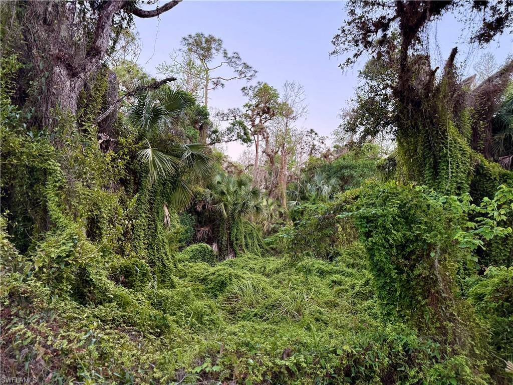 Labelle, FL 33935,Secretariat DR