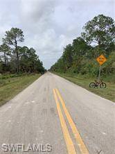 Naples, FL 34117,26th AVE SE