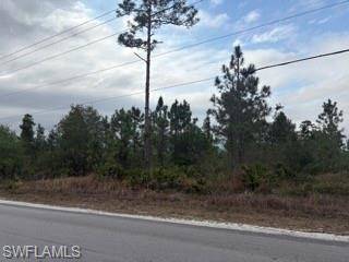 Lehigh Acres, FL 33972,3203 E 10th ST