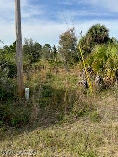Fort Myers, FL 33913,1266 Brookpark AVE