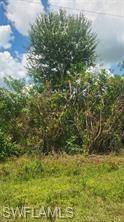 Clewiston, FL 33440,630 Hacienda ST N