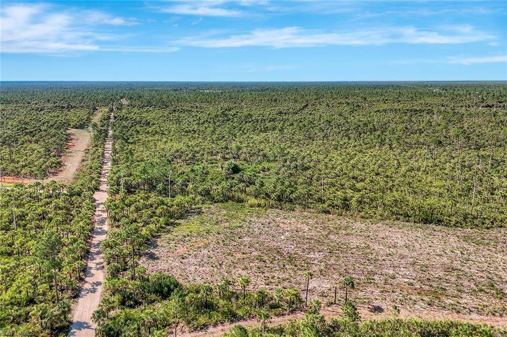 Naples, FL 34117,Woodland Grade RD